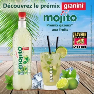 Découvrez le prémix Granini Mojito