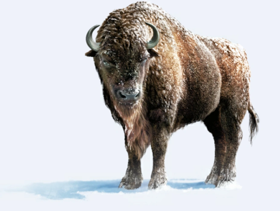 Zubrowka lance 2 innovations en 2018