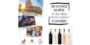 Le nouveau jeu vigne antique 2019 !!