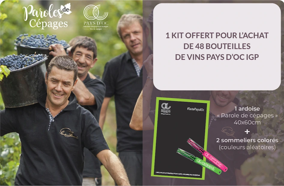 Les vins des Pays d’Oc IGP animent la rentrée