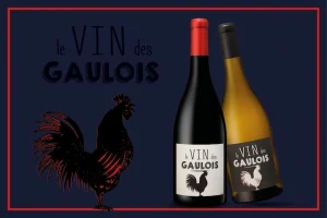 Le vin des Gaulois